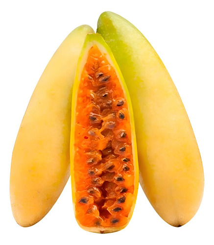Semillas De Curuba Passifloraceas Frutales Fercon