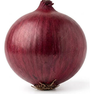 Semillas De Cebolla Red Creole Hortalizas Fercon