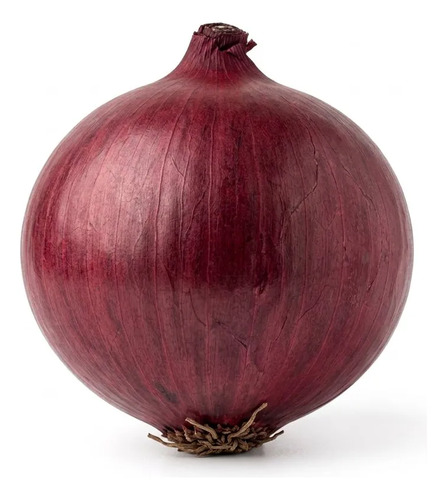 Semillas De Cebolla Red Creole Hortalizas Fercon