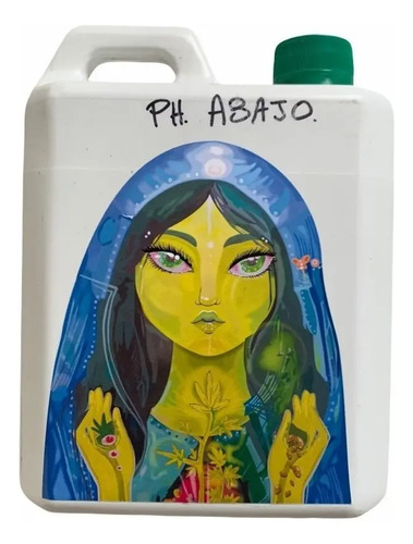 Regulador De Ph Down Abajo Liquido 1 Litro