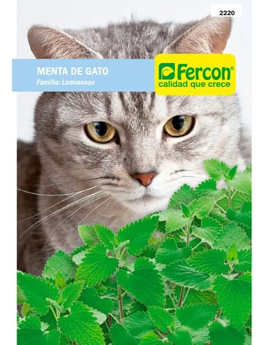 Semillas De Menta De Gato Aromáticas Fercon - Image 2