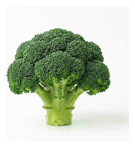 Semillas De Brocoli Calabrese Hortalizas Fercon