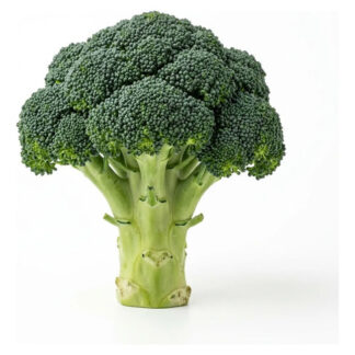 Semillas De Brocoli De Cicco Hortalizas Fercon