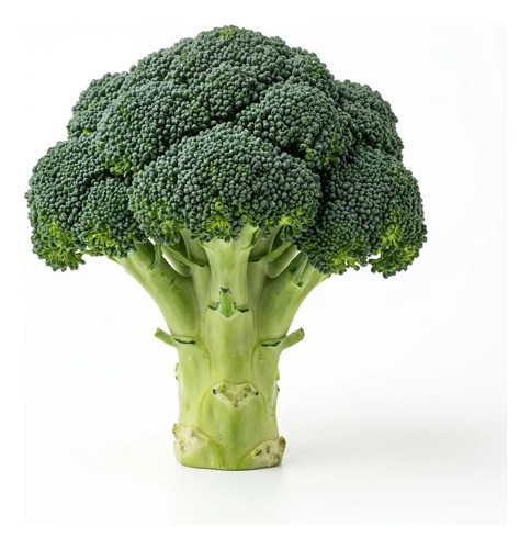 Semillas De Brocoli De Cicco Hortalizas Fercon