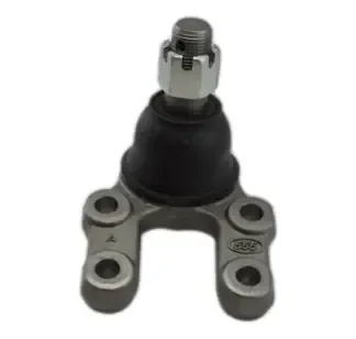 Rotula Inf Izq N 720 555