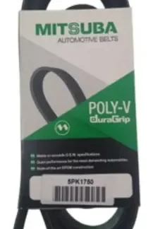 Correa Unica CL2 Lg Sy Sc Mst Mg Renault