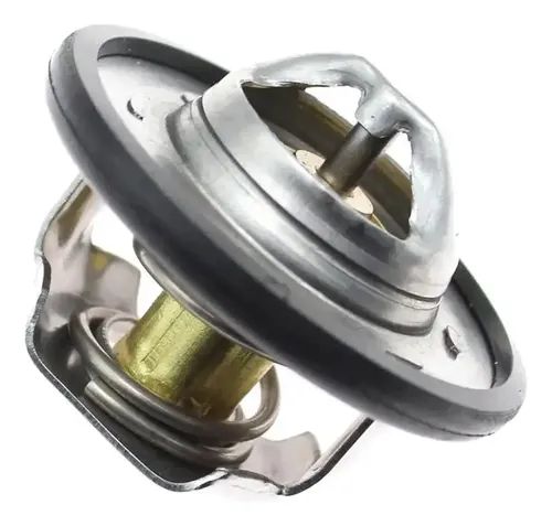 Termostato P 1.4 Mg Cl Sy Sc Duster 1,6 89 ° Asam