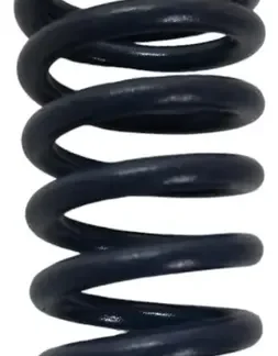 Resortes Valvula P1,8 2,0 Original