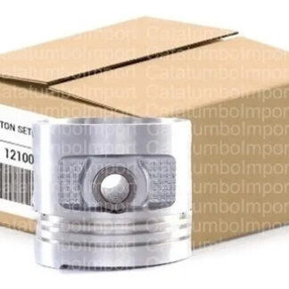 Pistones 1.00 Z24 Urban Pathfinder Toto