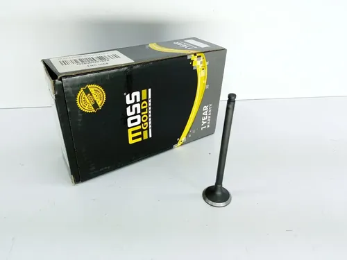 Valvulas Escape Sentra B14 GA16 Scala QG16/18 B16 Bbb