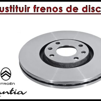 Disco de Freno Trasero Citroen Xantia