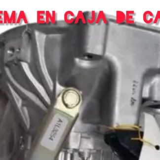 Caja Cambios Completa B13 Mecanica Mizumo