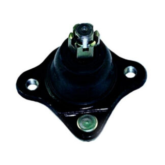 Rotula Superior N Vannet