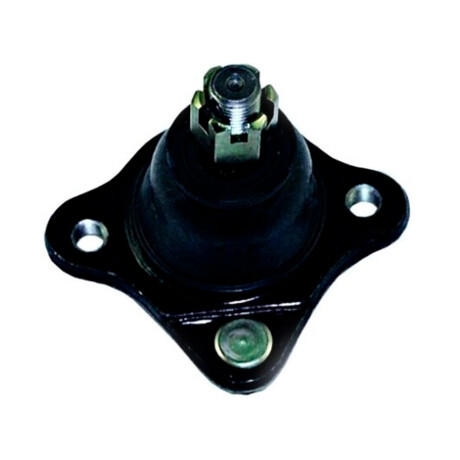 Rotula Superior N Vannet